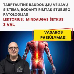 Nuotoliniai mokymai TARPTAUTINĖ RAUDONŲJŲ VĖLIAVŲ SISTEMA, RODANTI RIMTAS STUBURO PATOLOGIJAS 2026.07