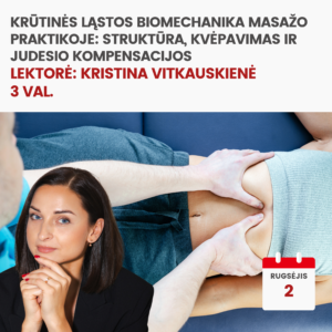 Nuotoliniai mokymai KRŪTINĖS LĄSTOS BIOMECHANIKA MASAŽO PRAKTIKOJE: STRUKTŪRA, KVĖPAVIMAS IR JUDESIO KOMPENSACIJOS 2026.09.02